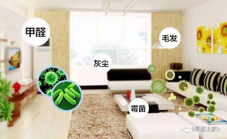 別再沉溺于“醛”世界的溫柔鄉