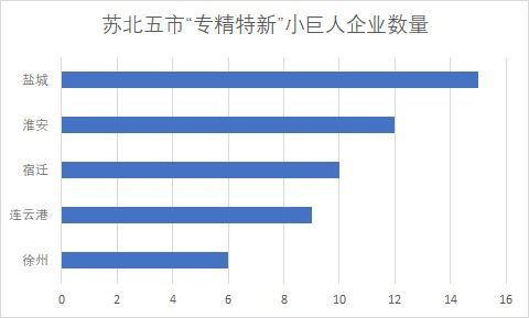 蘇北五市52家“小巨人”入選國家隊，化工賽道彰顯江蘇制造業(yè)韌性優(yōu)勢